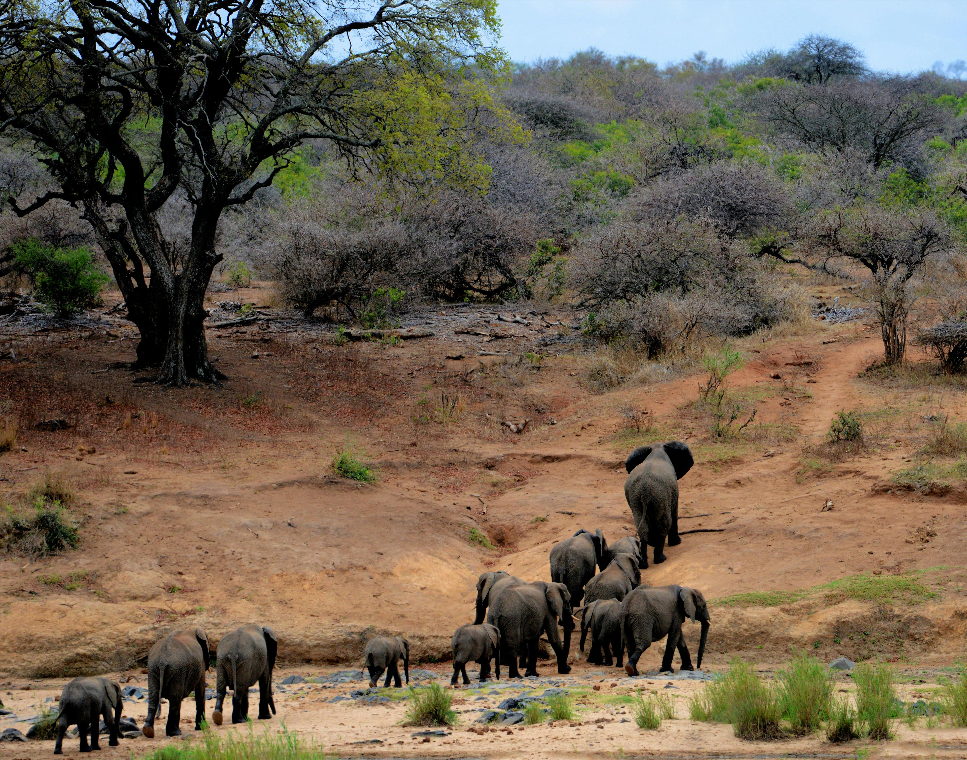 Yala National Park
